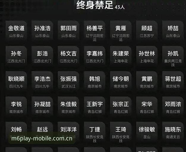 中国足球反腐风暴深度评测：从M6米乐平台视角看第三批禁足名单的技术解析